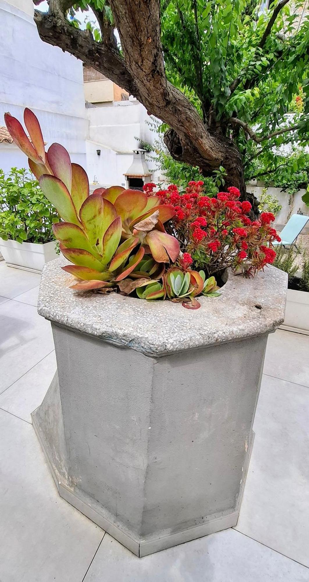 City Center Palma 外观 照片